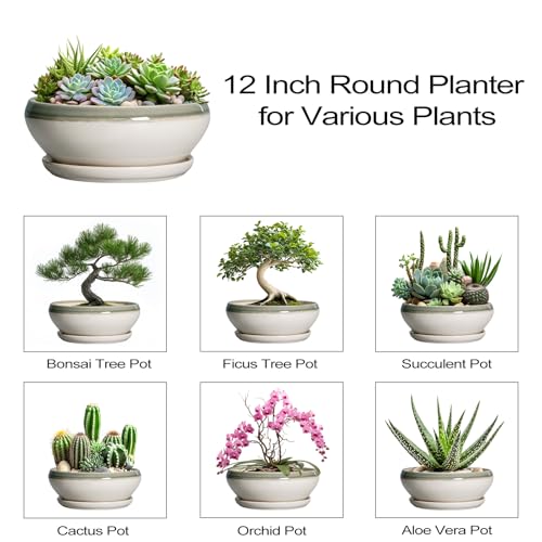 Large Succulent Planters (12 Inch / Grey-white)