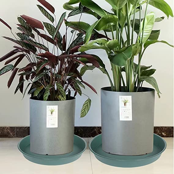 6 Pack of 7 inch Plant Saucer (7" (6 pack) / Green)