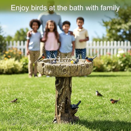 Bird Baths for Outdoor (Woodland with bird)
