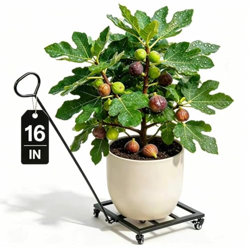 16" Square Plant Cart with Wheels (16in)