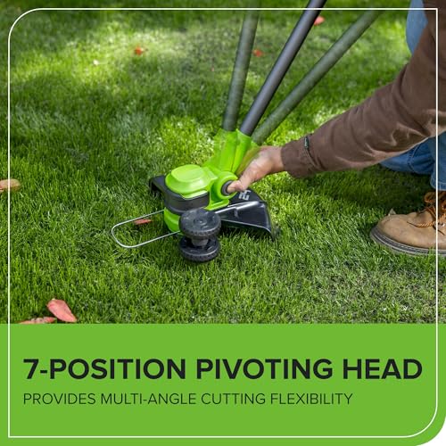 24V 12 in Cordless String Trimmer (String Trimmer / 12" Trimmer Deluxe (Tool Only))