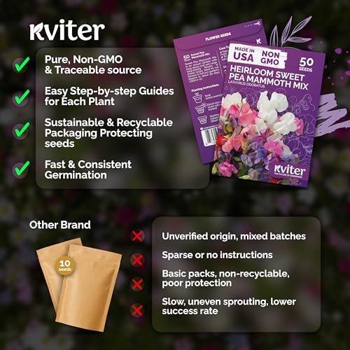 50 Sweet Pea Mammoth Mix Heirloom Flower Seeds