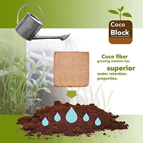 Home and Country Coconut Fiber Compressed Coco Coir Brick. Coco Coir is Great to use as a Compost Starter for Your Home Garden. Coco Coir Bricks Provide Organic Alternative to Peat Moss for Plants.10 (10 Pound)