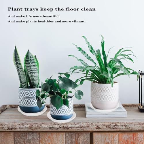 2 Pack of 19 inch Clear Plant Saucer (19" (2 pack) / Clear)