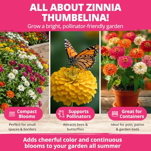 Thumbelina Dwarf Zinnia Seeds