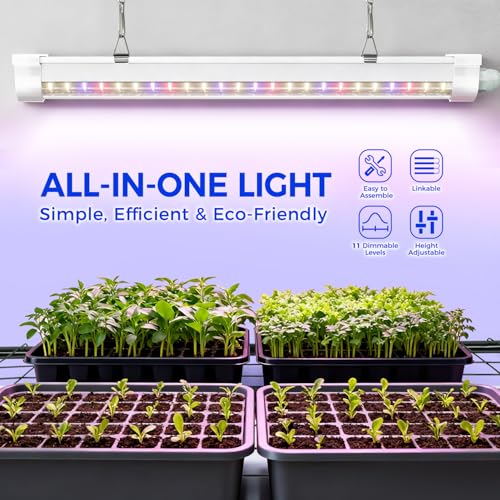 Indoor Greenhouse with Grow Light (Transparent / 4 Tier with Grow Light)