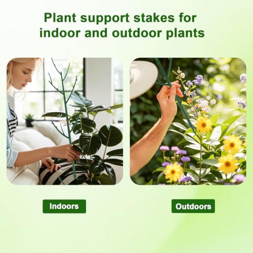 6 Pack Stackable Monstera Plant Support (6 Count)