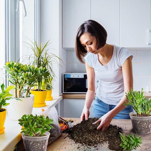 Succulent & Cactus Soil Potting Mix 2qt (64 Fl Oz)
