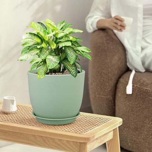 Medium Plant Pots 10 (3 Count)