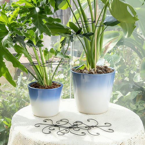 5PCS Black Monstera Plant Stem Support (Black / 7.5IN*7.5IN)