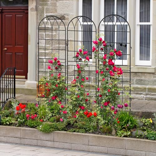 4 Pack Garden Trellis for Climbing Plants (71''H x 20''W/4 Pack / Black)