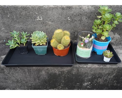 Plant Growing Trays 2 Pack