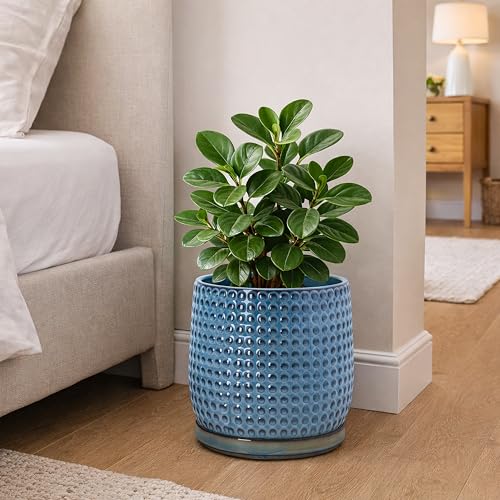 Beaded Ceramic Pot with Saucer (8.8 Inch / Ocean Teal)