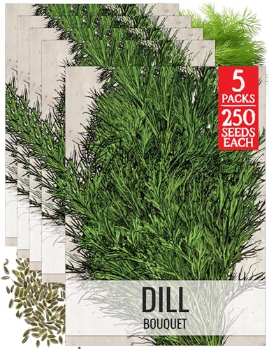 Bouquet Dill Seeds to Plant Heirloom Non (5 Packs)