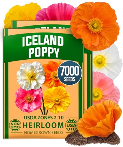 Iceland Poppy Seeds