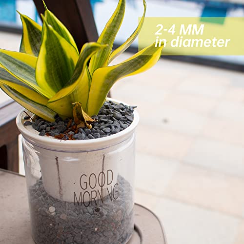 3lb Black Cactus Pea Gravel Rocks (48 Ounce)
