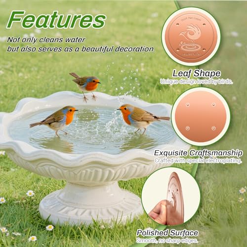 Bird Bath Copper Disk (1Pcs)