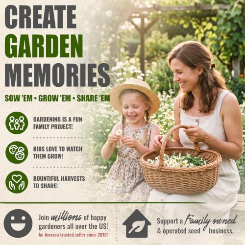 German Chamomile Seeds to Plant Heirloom Non (2 Packs)