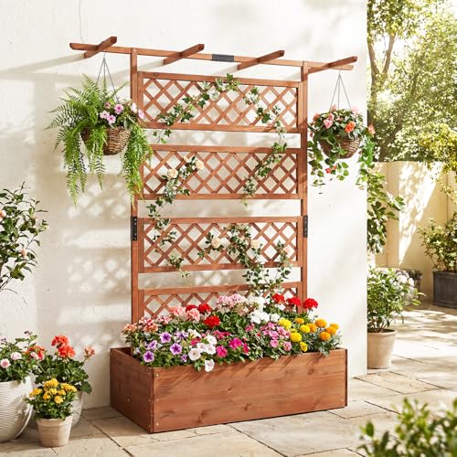 Raised Garden Bed with Trellis (Brown / 60"Lx22"Wx72"H)