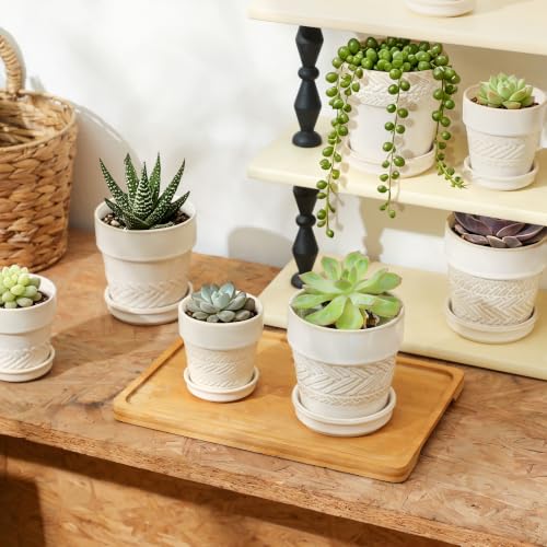 Succulent pots (4inch-beige / Large)
