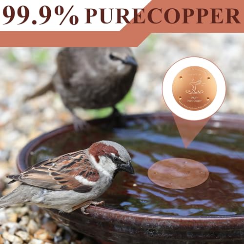 8 Pcs 4'' Copper Disc for Bird Bath (Bird Pattern)
