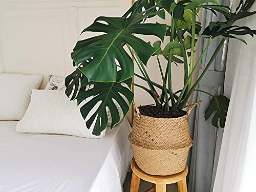 Large Woven Seagrass Belly Basket for Plant (XXL (12" D x 14" H) / Natural)