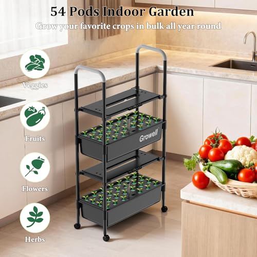 Hydroponics Growing System Kit (Black / 2 Tier/54 Pods)