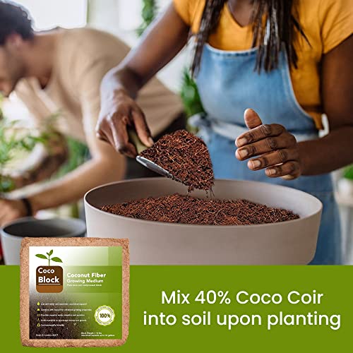 Home and Country Coconut Fiber Compressed Coco Coir Brick. Coco Coir is Great to use as a Compost Starter for Your Home Garden. Coco Coir Bricks Provide Organic Alternative to Peat Moss for Plants.10 (10 Pound)