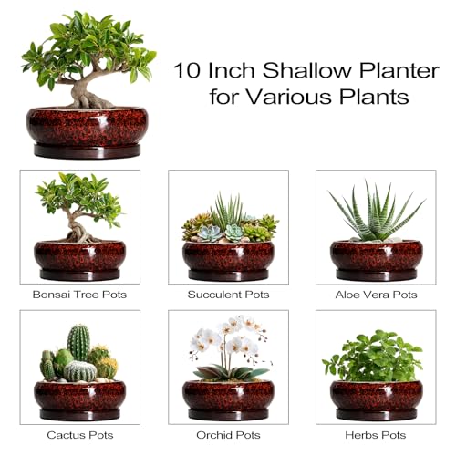 Bonsai Tree Pots (10 Inch / Leopard Red)