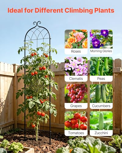 Garden Trellis (6 Packs-Style2 / 87''H x 20''W)