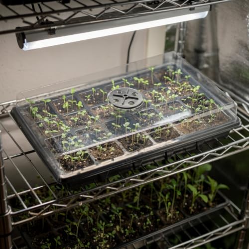 10 Pack Seed Starting Trays with Humidity Dome & Large 24 (Black / 10 Sets)