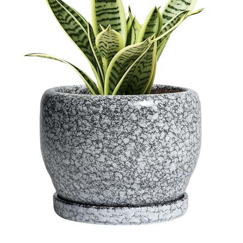 Ceramic Pot for Plants