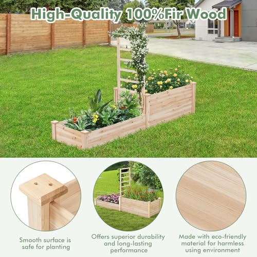 Raised Garden Bed with Trellis & Open Base Design