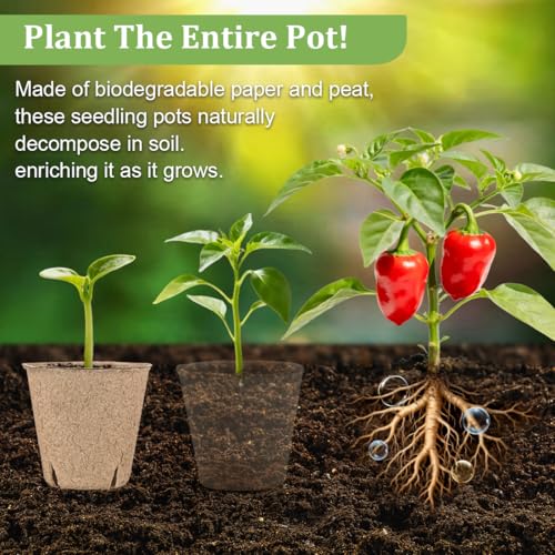 3.15 Inch Peat Pots 200 Pcs with 10 Pack 20 Cell Seed Starter Trays (Black / 3.15 Inch Peat Pots 200 Pack with 10 Pack Trays)