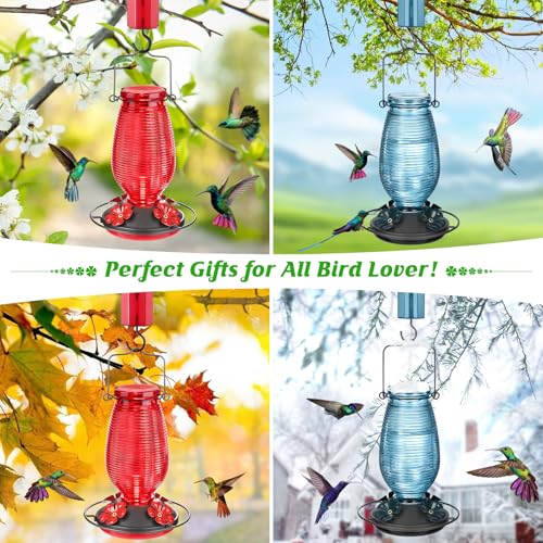 Glass Hummingbird Feeder for Outdoors Hanging