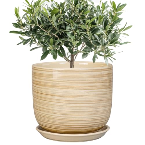 Indoor Plant Pot 8 Inch
