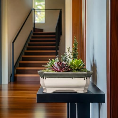 Bonsai Tree Pots 13.7 Inch (13.5 Inch / Rectangular Beige-grey)