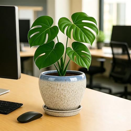 8 Inch Plant Pots (Beige&blue / 8 Inch)