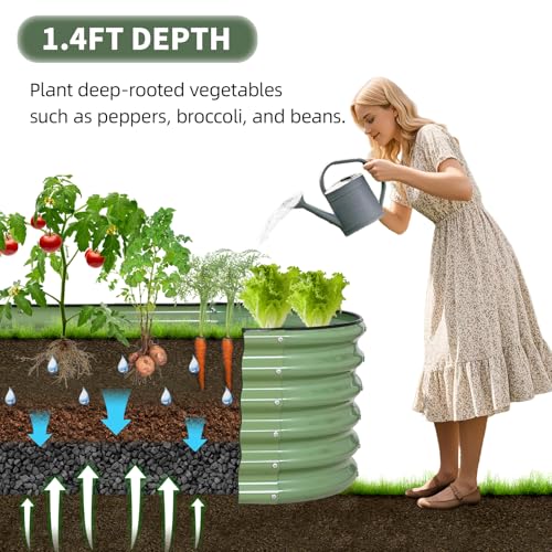 Galvanized Raised Garden Bed Outdoor