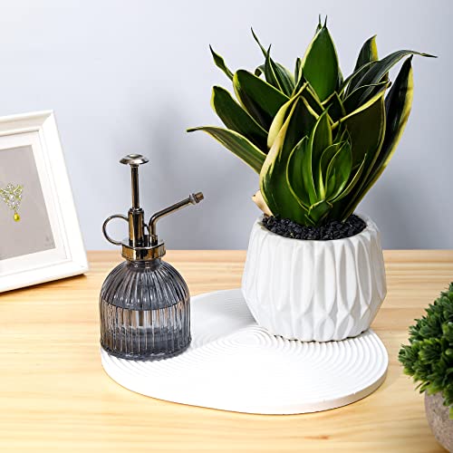 Glass Plant Mister Spray Bottle