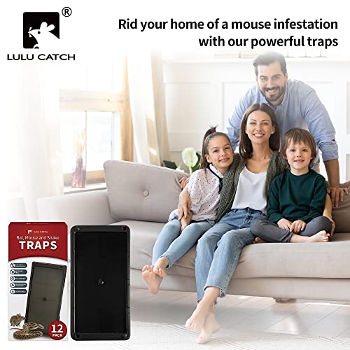 Sticky Mouse Trap (Large Plus)