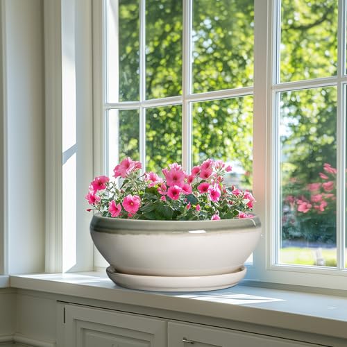 Large Succulent Planters (12 Inch / Grey-white)