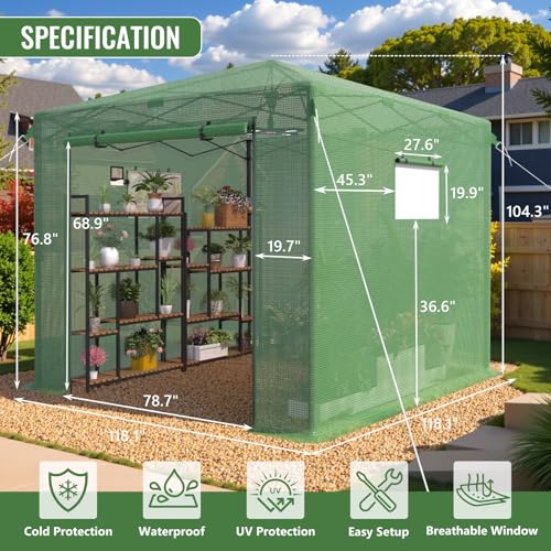 10X10 FT Pop Up Greenhouse (10X10 FT)