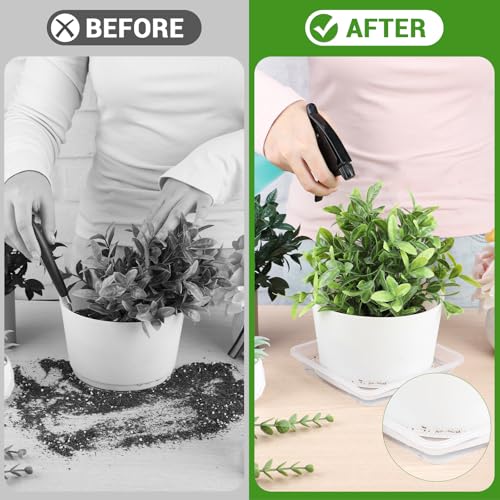 16 Inch Square Plant Saucer (16" / Clear)