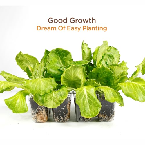 75PCS Pre Drilled Seed Starter Cubes (Pre-Drilled Holes-75PCS)