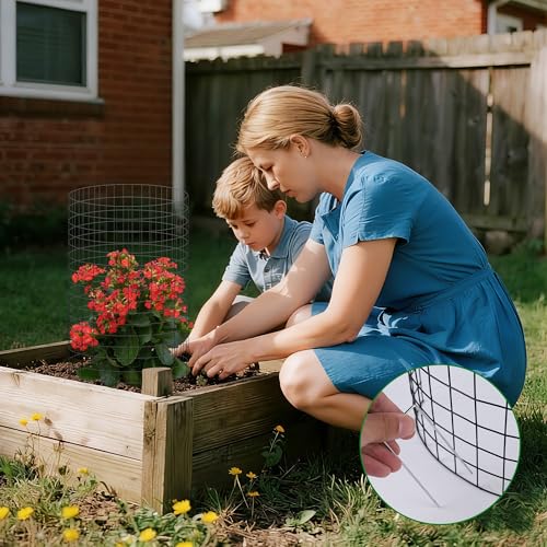 12 Set Garden Plant Protector Cage (16 IN x12 IN / Black)