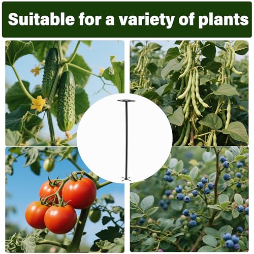 2Pack 63" Dragon Fruit Trellis (12"W x 63"H / 2 Pcs)