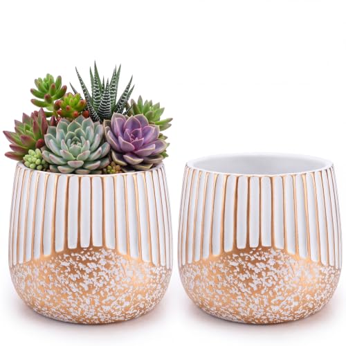 2‑Pack 6 Inch Succulent Planter Pots with Drainage Holes (White Gold)