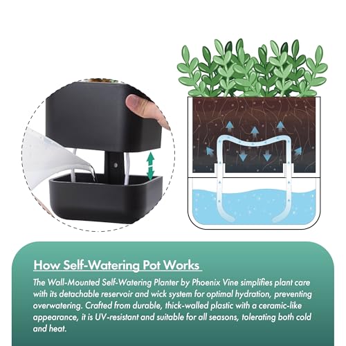 4.5 Inch Wall Mounted Self (4.5" (3 Pack) / Black)