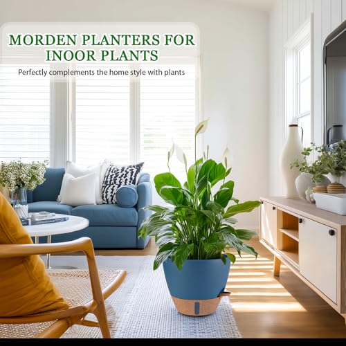 2 Pack 10 inch Plant Pots (2 Count)